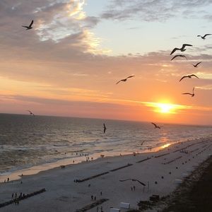 Meet your Posher, Miranda